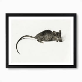 Mouse 1, Jean Bernard Art Print