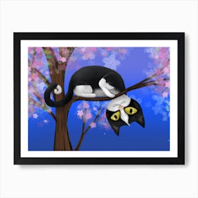 A funny cat in a blossom tree Art Print