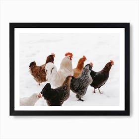 Snowy Hens Art Print