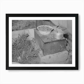 Untitled Photo, Possibly Related To Cook Stove In Tent Home Of Young Farmer And His Wife, Vale Owyhee Art Print