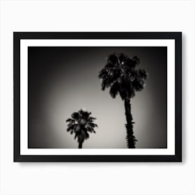 Why Are Palm Trees So Damn Happy Art Print