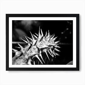 Thorns Art Print