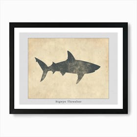 Bigeye Thresher Shark Grey Silhouette 1 Poster Art Print