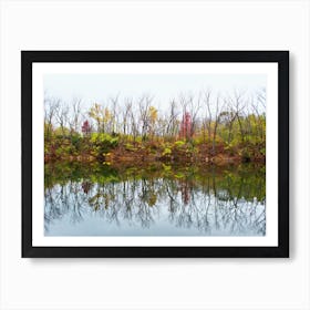 Reflections In A Pond 2 Art Print