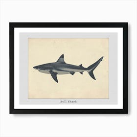 Bull Shark Grey Silhouette 8 Poster Art Print