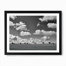 Field Of Shades Art Print