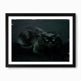 Black Cat Art Print