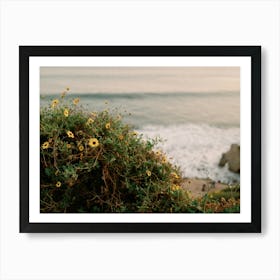 Malibu Wildflowers and Sea Art Print