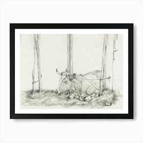 Lying Cow 2, Jean Bernard Art Print