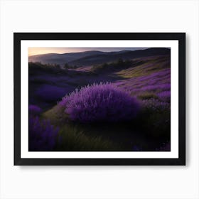 Heathland Stretching Across The Highland With Its Purple Flowers Art Print