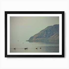 Pelicans On The Lake Art Print