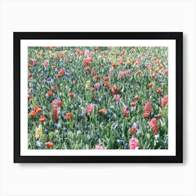 Field of flowers | Floral photography | The Netherlands Art Print