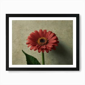 Red Gerbera Flower Art Print