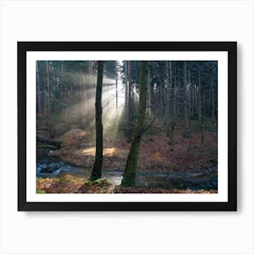 Rays of light in the calm winter forest Art Print