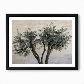 Olive Tree In Italy Art Print