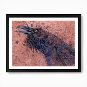 Angry Raven Art Print
