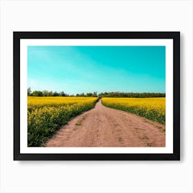 Canola Fields Under The Sun 02 Art Print