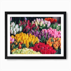 Flower Shop Tulips Art Print