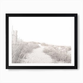 Path To Beach Art Print