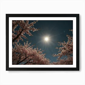 Cherry Blossoms 1 Art Print