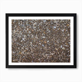Tiny And Large Sea Shell And Rocks Texture Background 6 Art Print