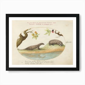 Quadervpedia Animals And Reptiles, Joris Hoefnagel (10) Art Print