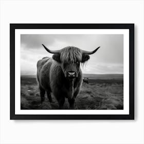 Highland Cow Art Print