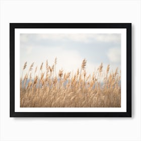 Marsh Grass No 7 Art Print
