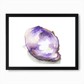 Oyster Shell in violet Art Print