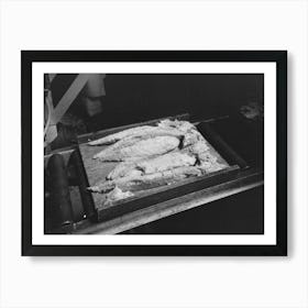 Cooked And Tuna, Ready To Be Packed Into Cans, Columbia River Packing Association, Astoria, Oregon By Russell Art Print