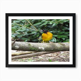 Yellow bird on Log Tree Art Print