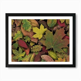 Scattered Autumn Leaves 1 Poster