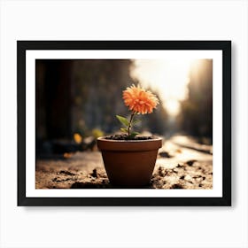 Flower In A Pot Art Print