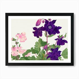 Coleus Art Print