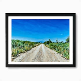 Country Road Under Blue Sky in Camargue France. A dirt road stretches out into the distance, lined by tall green grasses and a few scattered trees. The road is dusty and appears to be rarely traveled. The sky is a vibrant blue, with only a few wispy clouds. The image evokes a sense of tranquility and solitude, suggesting a peaceful rural setting. Art Print