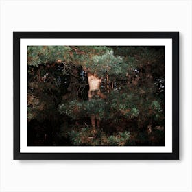 The Eyes Of The Forest Art Print