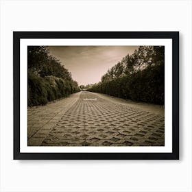 Paved Road Sepia Colored Walkway In The Park Art Print