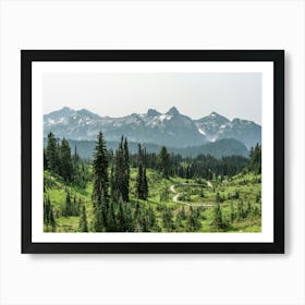 Wildflower Meadow At Mount Rainier National Park Art Print