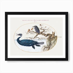 Cormorant With A Night Heron (1575–1580), Joris Hoefnagel Art Print