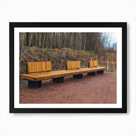 Benches In The Woods Art Print