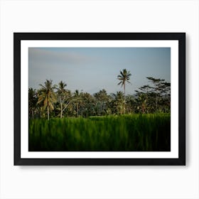 Bali Rice Fields Photograph, 4 Art Print