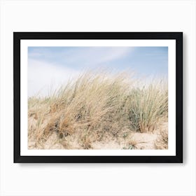 Dutch Dunes // The Netherlands // Travel Photography Art Print