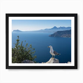 Seagull and the blue Mediterranean Sea Art Print