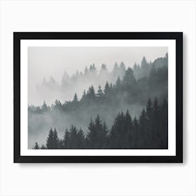 Foggy Pine Forest Art Print