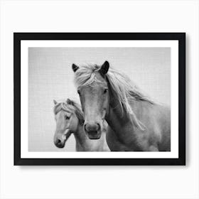 Horses - Black & White 1 Art Print