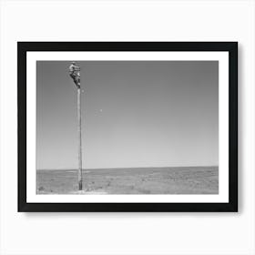 Untitled Photo, Possibly Related To Lineman, Canyon County, Idaho By Russell Lee Art Print