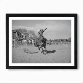 Quemado,New Mexico, Bronc Busting At The Rodeo By Russell Lee Art Print