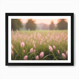 Soft, Pastel Pink Wildflower Stalks In A Meadow With A Blurred Background Of Green Grass And A Warm, Golden Sunset Sky Art Print