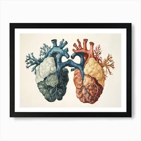 Anatomy Of The Human Heart 1 Art Print