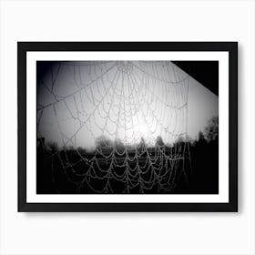 Spider Web black and White Moody Art Print
